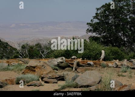 24 giugno 2008, Mt. Laguna, California, Stati Uniti. Dall'area picnic con vista sul deserto sul monte Laguna, si può guardare verso il basso nel deserto di Borrego. L'autore-storico JIM NEWLAND ha scritto un libro sui primi 100 anni della Cleveland National Forest. Ha utilizzato oltre 200 foto storiche di terreni e lavoratori nella zona di Cuyamacas e Mt. Laguna per illustrare il libro. Foto (immagine di credito: San Diego Union-Tribune/ZUMAPRESS.com) Foto Stock