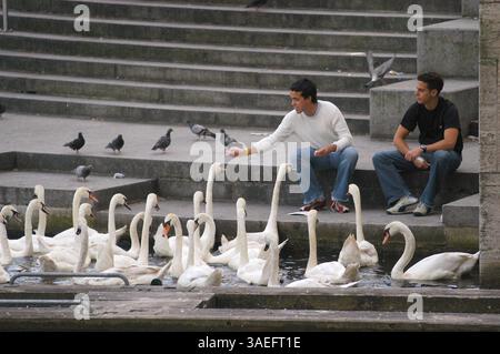 28 giugno 2003; Amburgo, GERMANIA; giovani che nutrono cigni sul fiume Alster ad Amburgo. (Immagine di credito: Rob Schoenbaum/ZUMAPRESS.com) Foto Stock