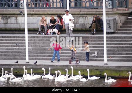 28 giugno 2003; Amburgo, GERMANIA; giovani che nutrono cigni sul fiume Alster ad Amburgo. (Immagine di credito: Rob Schoenbaum/ZUMAPRESS.com) Foto Stock