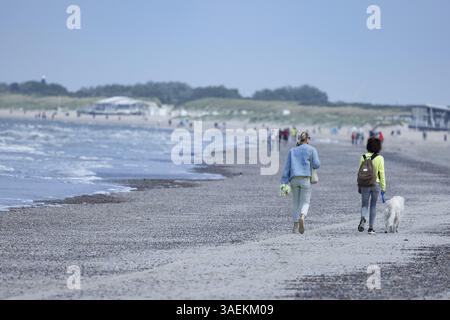 Due donne e un cane camminano sulla spiaggia con il sole, Groede, Zelanda, Paesi Bassi Foto Stock
