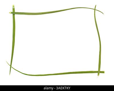 Cornice verde a cipolla di fronte a uno sfondo bianco Foto Stock