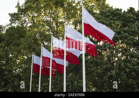 Cinque bandiere bianche e rosse che volano su alberi sullo sfondo di alberi verdi Foto Stock