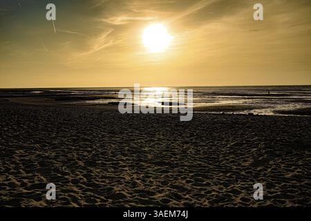 Il tramonto dorato crea un'atmosfera calda su una spiaggia sabbiosa, la spiaggia del Mare del Nord 27476 Cuxhaven/Sahlenburg-Germania Foto Stock