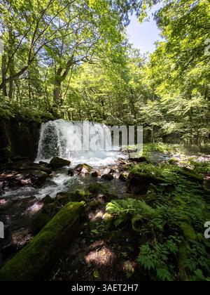 Cascata nella gola di Oirase Keiryu ad Aomori, Giappone. Foto di alta qualità Foto Stock