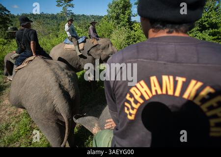 26 aprile 2010 - Sumatra, Indonesia - pattuglia forestale nel Parco nazionale Bukit Barisan Selatan. I centri degli elefanti di Sumatra, in Indonesia, sono il santuario degli elefanti di Sumatra (Elephas maximus sumatranus). A partire dagli anni '1980, gli elefanti selvatici che vagano negli insediamenti umani vengono spesso trasferiti in questi luoghi e addestrati a soddisfare le esigenze umane: Portapacchi, circo, ecc.. Il centro di conservazione degli elefanti nel Parco Nazionale Way Kambas fu il pioniere di diversi centri di conservazione degli elefanti istituiti a Sumatra oggi. Più di 700 elefanti sono stati trasferiti in questo cente Foto Stock