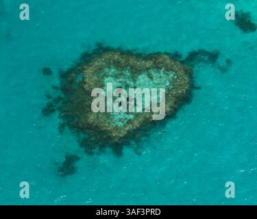 Heart Reef: Una meraviglia a forma di cuore nella grande Barriera Corallina australiana Foto Stock