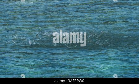 Heart Reef: Una meraviglia a forma di cuore nella grande Barriera Corallina australiana Foto Stock