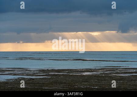 Heart Reef: Una meraviglia a forma di cuore nella grande Barriera Corallina australiana Foto Stock