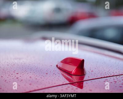 Antenna a pinna di squalo rossa sulla superficie bagnata Foto Stock