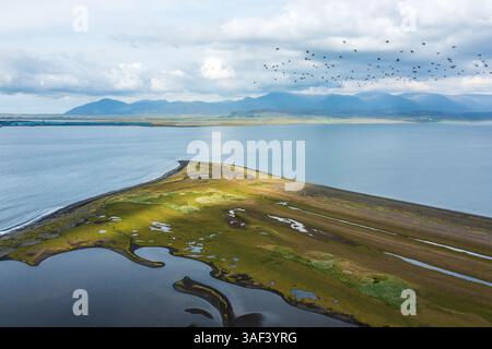 Uccelli che volano sopra un idilliaco paesaggio costiero Foto Stock