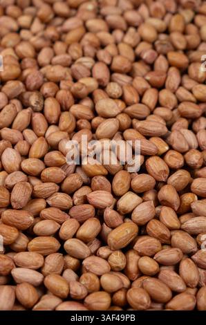 Arachidi marroni naturali grezze di qualità superiore senza guscio Foto Stock