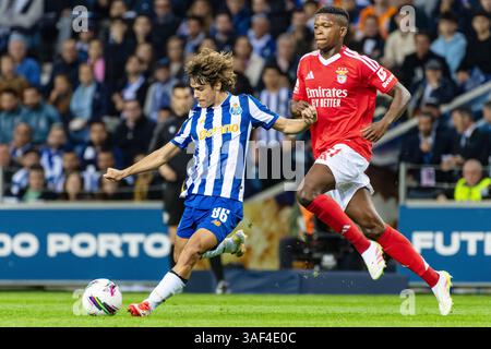 Porto, Portogallo. 6 aprile 2025. Rodrigo Mora di Porto durante il campionato portoghese, Liga Portugal Betclic, partita di calcio tra FC Porto e SL Benfica il 6 aprile 2025 al Estádio do Dragão di Porto, Portogallo - foto Jose Salgueiro/DPPI Credit: DPPI Media/Alamy Live News Foto Stock