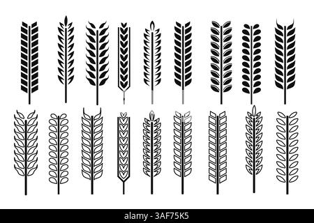 Una collezione di icone del grano sia in stile sagomato che glifo, perfetta per i design a tema agricolo e naturalistico in formato vettoriale. Illustrazione Vettoriale