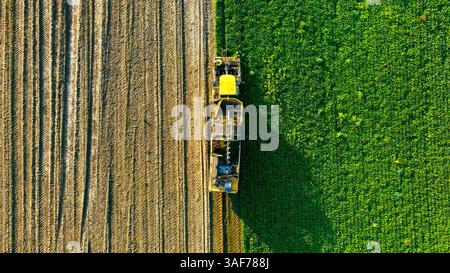 Vista aerea della mietitrice agricola sul campo. Vista aerea dall'alto verso il basso di una mietitrebbia agricola che lavora in un campo. Foto Stock