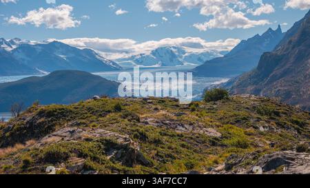 Parco nazionale Torres del Paine, Patagonia, Cile, magico e colorato lago grigio glaciale, ghiacciaio grigio circondato da foreste australi, cielo azzurro giorno di sole Foto Stock