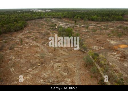 HT 119602 - - CONSEGNA A: Banco Hernando - - 3/15/2001 - - Nobelton - - DIDASCALIA INFO: Questa vista aerea mostra parte del terreno di 400 acri situato nella Foresta Statale di Withlacoochee a circa tre miglia a sud-est di Nobelton che è stato recentemente tagliato. Fa parte del Sandhill Restoration Project che sta intraprendendo la Divisione statale delle foreste che ripianterà l'area con pini a foglia di palo autoctoni. I residenti della zona si sono lamentati di ciò che vedono come distruzione della foresta, anche se il lungo termine si tradurrà in un ambiente più naturale. DIGITALE . - Times foto di: Maurice Rivenbark - - storia Foto Stock