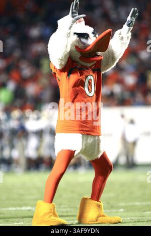 17 settembre 2009: La mascotte dei Miami Hurricanes tifa con i tifosi. I Miami Hurricanes sconfissero i Georgia Tech Yellow Jackets - 33 a 17 al Dolphin Stadium di Miami FL (Credit Image: SGM/ZUMAPRESS.com) Foto Stock