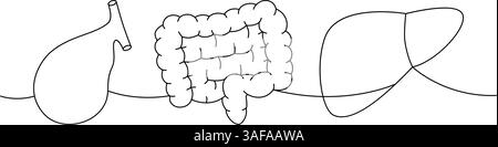 Set di organo umano disegno continuo su una linea. Cistifellea, intestini, fegato continuo illustrazione di una linea. Illustrazione Vettoriale