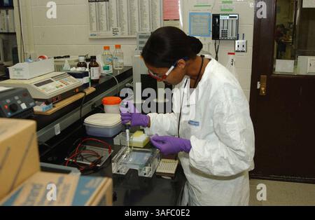 16 novembre 2001; Los Alamos, NM, USA; SUSANA DELANO, biologa molecolare e assistente di ricerca laureata presso il Los Alamos National Laboratory, utilizza una pipetta per caricare un campione di DNA ANTRACE in un vassoio per elettroforesi su gel Il laboratorio ha confermato di fornire supporto tecnico per l'analisi del DNA in relazione agli attuali incidenti di Anthrax ed è in grado di fornire l'identificazione del ceppo di batteri campionati, nonché in molti casi della regione geografica in cui il ceppo è comunemente trovato. . (Immagine di credito: ZUMA Press/ZUMAPRESS.com) Foto Stock