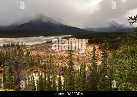 113 North Saskatchewan River scorre oltre il massiccio del Monte Amery e il Monte Erasmus NE1 fino alla N.S.River Crossing-Icefields Parkway. Banff NP-AB-Canada Foto Stock
