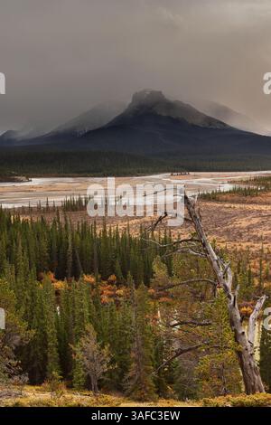 114 il North Saskatchewan River scorre oltre il Monte Erasmus verso il North Saskatchewan River Crossing sulla Icefields Parkway. Banff NP-AB-Canada Foto Stock