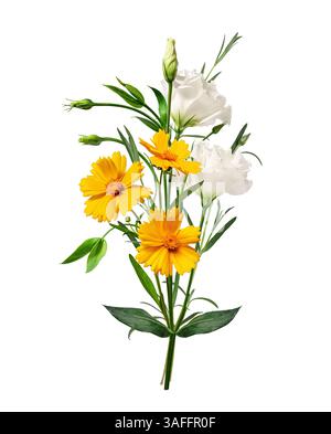Composizione floreale (bouquet) di fiori Lanceleaf Coreopsis gialli, Eustoma bianco e Stellaria longifolia. Foto Stock
