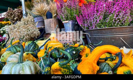 Paesaggi di autunno Foto Stock