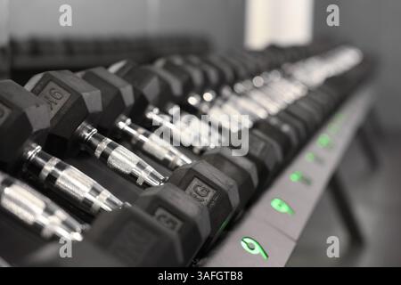 Molti manubri in palestra, primo piano. Attrezzature sportive professionali Foto Stock