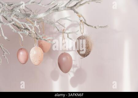 Ramo d'albero con uova di Pasqua su sfondo rosa con luce solare e ombre Foto Stock