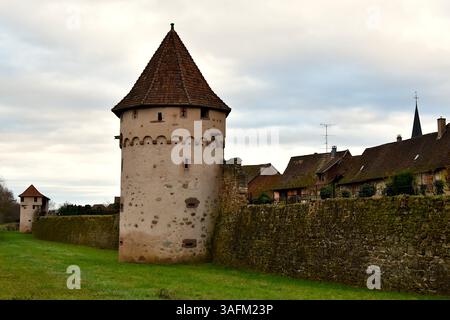 Gli antichi bastioni del villaggio di Bergheim in Alsazia Foto Stock
