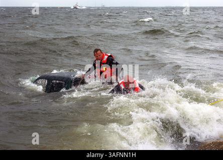 DIDASCALIA (07/10/05 - TAMPA): (2) Tampa Police Divers Sgt. Alan Draffin (cq da altro ufficiale / sinistra) e l'agente Randy Lopez (cq / destra) lottano contro il surf mentre tentano di agganciare una fila intorno al pick-up che è finito a Tampa Bay domenica (7/10/05). RIASSUNTO: Tampa Hurricane Dennis copertura: Rick DeSciscio (cq da reporter / 44 yrs Howard Credit Bridge, direzione est. St Petersburg Times/ZUMAPRESS.com) Foto Stock