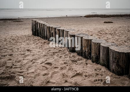 Pali di legno nella sabbia sulla spiaggia, vicino al Mare di Wadden, spiaggia del Mare del Nord 26316 Varel Dangast-Germania Foto Stock