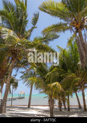 Capanna Palapa con tetto di paglia sul Mar dei Caraibi, Tankah III, Tulum, Quintana Roo, Messico Foto Stock