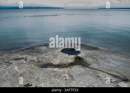 Il geyser Big Cone nel lago Yellowstone nel parco nazionale di Yellowstone. Foto Stock