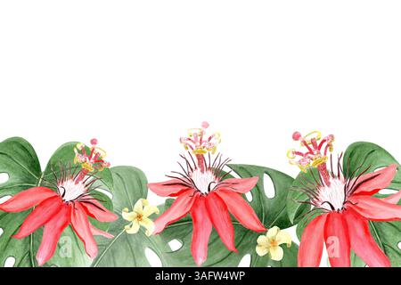 Striscione orizzontale rosso passiflora acquerello isolato su bianco. Clipart natura della foresta pluviale disegnato a mano, stile di schizzo. Piante esotiche tropicali perfette per Foto Stock