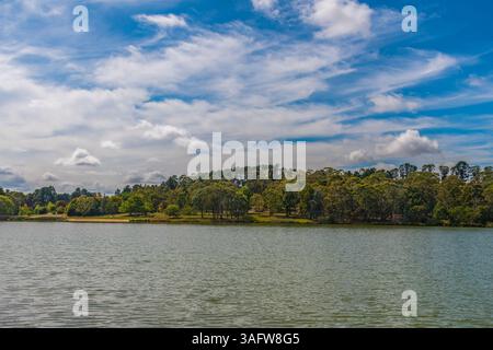 Cambio di stagione al Lago Canobolas in autunno vicino Orange ai piedi del Monte Canobolas, nel centro-ovest del nuovo Galles del Sud, Australia. Foto Stock