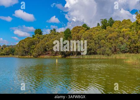 Cambio di stagione al Lago Canobolas in autunno vicino Orange ai piedi del Monte Canobolas, nel centro-ovest del nuovo Galles del Sud, Australia. Foto Stock