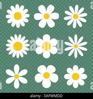 Set di icone vettoriali camomilla. Icone di fiori a margherita isolate Illustrazione Vettoriale