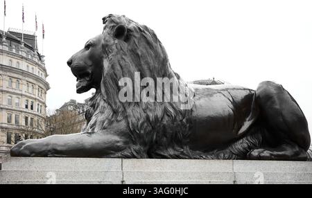 Leone di bronzo, accanto alla statua e alla colonna in memoria di Lord Nelson, a Trafalgar Square, Londra, Inghilterra. Foto Stock
