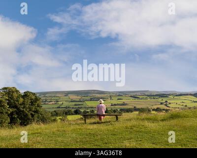 Vista posteriore di una donna in abito estivo e cappello di paglia seduta su una panchina di legno sullo Shawl a Leyburn, ammirando la vista delle valli dello Yorkshire. REGNO UNITO Foto Stock