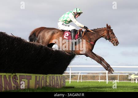 Foto del file datata 28-03-2025 della foto del file datata 13-11-2024 di Celebre D'Allen. Celebre D’Allen, che è crollato dopo aver corso nel Randox Grand National ad Aintree sabato, è morto dopo che le sue condizioni si sono deteriorate durante la notte. Data di pubblicazione: Martedì 8 aprile 2025. Foto Stock