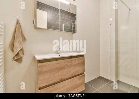 Un bagno elegante e contemporaneo con mobili minimalisti, finiture eleganti e un elegante spazio doccia che enfatizza la funzionalità e l'estetica. Foto Stock