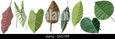 Raccolta dettagliata di foglie tropicali su sfondo bianco. Illustrazione Vettoriale