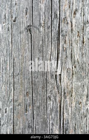Vista ravvicinata del legno invecchiato e intemprato con intricate scanalature e motivi che enfatizzano il suo fascino rustico in luce naturale. Foto Stock