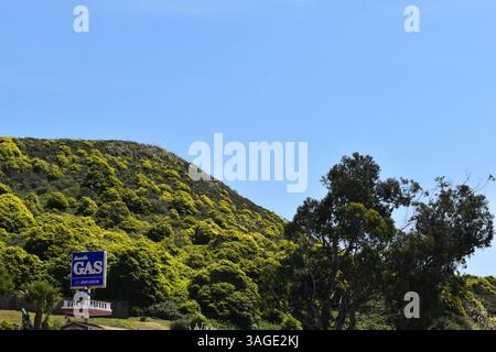 La costa di Big Sur offre una bellezza spettacolare e aspra, con spiagge mozzafiato tra le torreggianti scogliere e il vasto Oceano Pacifico. Foto Stock