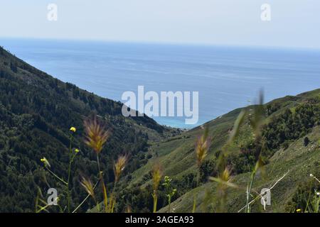 La costa di Big Sur offre una bellezza spettacolare e aspra, con spiagge mozzafiato tra le torreggianti scogliere e il vasto Oceano Pacifico. Foto Stock