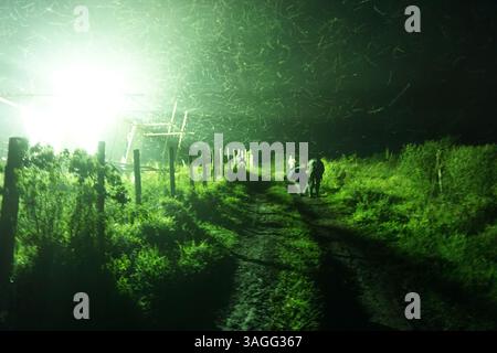 I bambini raccolgono le locuste di notte in Uganda. Grasshopper che si raccoglie con la luce di notte in Africa Foto Stock