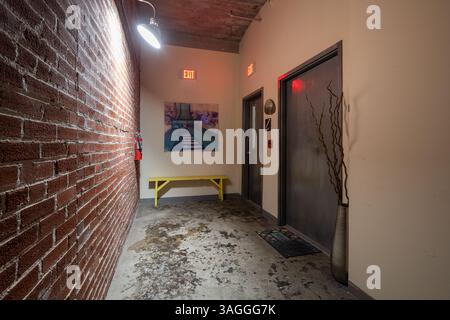 Edificio Drygoodsman , ubicazione: St. Louis MO, architetto: Albert P. Groves Foto Stock