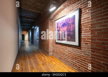 Edificio Drygoodsman , ubicazione: St. Louis MO, architetto: Albert P. Groves Foto Stock