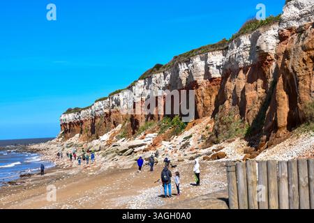naufragio della nave Foto Stock
